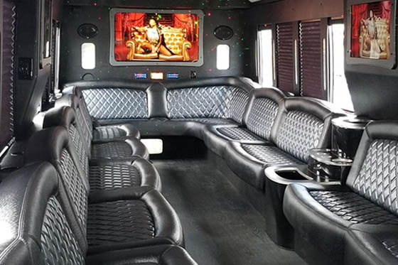 Windsor limo bus rentals
